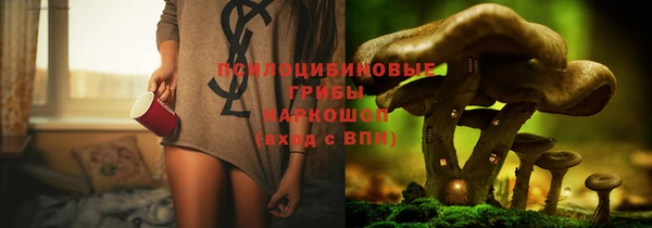 не бодяженный Алексин